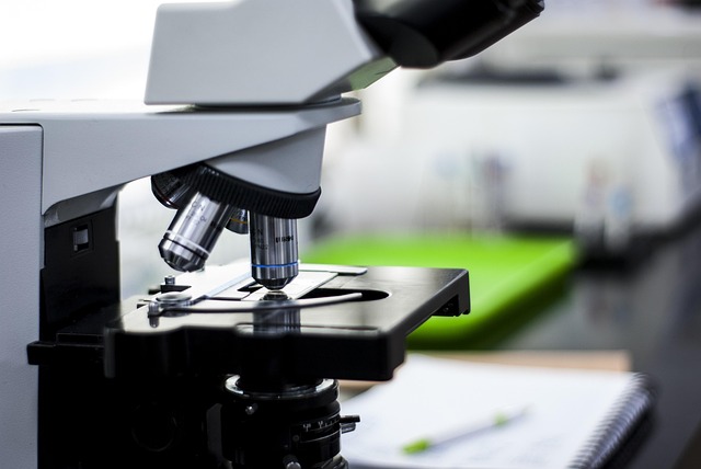 采購(gòu)聚氨酯泡沫表皮增厚劑用于優(yōu)化高回彈海綿表皮韌性并增強(qiáng)產(chǎn)品的防水性能